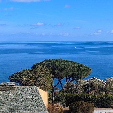 Superb Apartment With Sea View, 200M From Beach San-Martino-di-Lota Exteriör bild